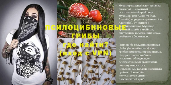 гидропоника Богородицк