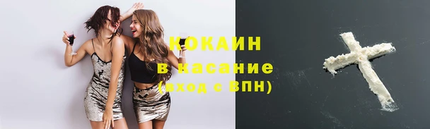 гидропоника Богородицк