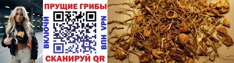 Псилоцибиновые грибы MAGIC MUSHROOMS  Бокситогорск 